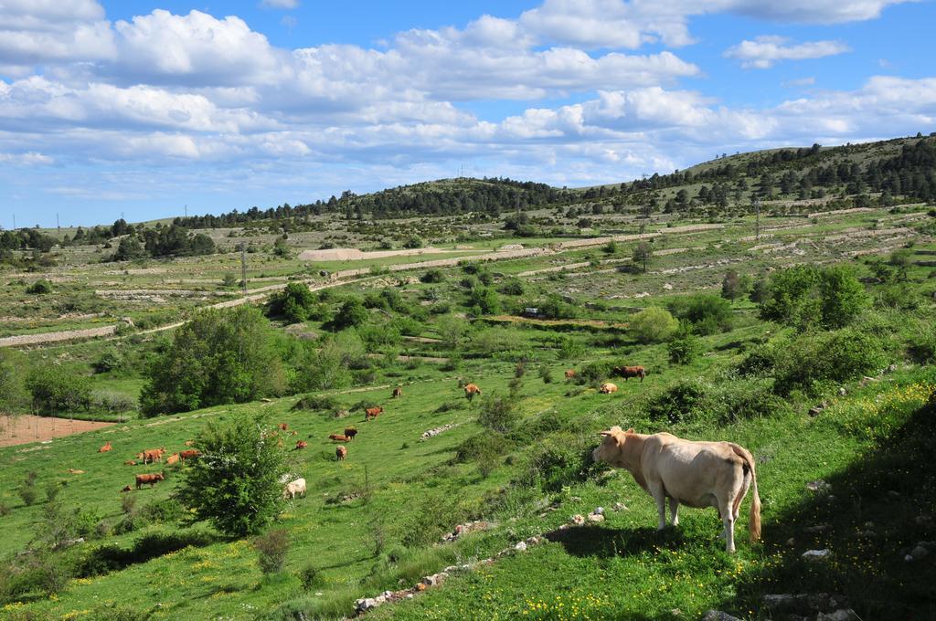 Casa Rural El Boixar - El Mirador Bojar Luaran gambar