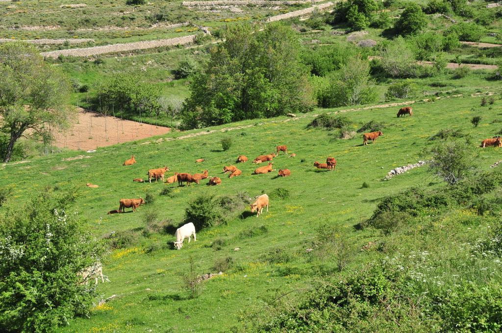 Casa Rural El Boixar - El Mirador Bojar Luaran gambar